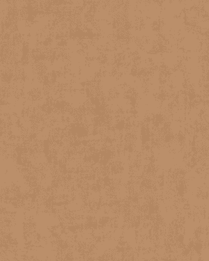 A51520